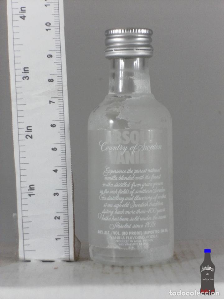 Sammlung von Weinen und Lik&ouml;ren: BOTELLITA BOTELLIN ABSOLUT VANILIA VODKA VINS SPRIT SWEEDEN