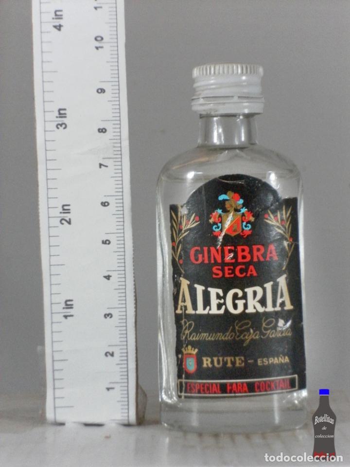 Coleccionismo de vinos y licores: BOTELLITA BOTELLIN GINEBRA SECA ALEGRIA RAIMUNDO ECIJA GARCIA RUTE ESPA&Ntilde;A