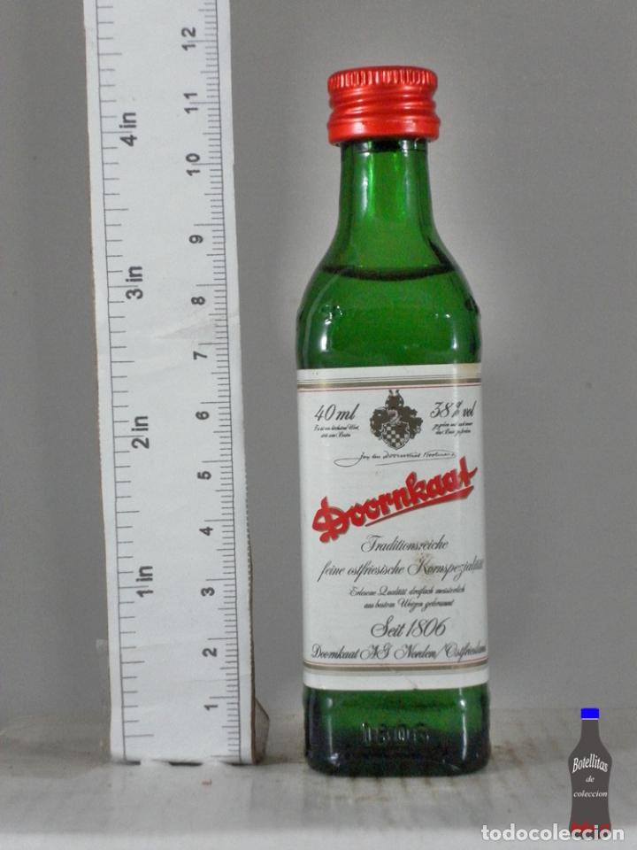 Sammlung von Weinen und Lik&ouml;ren: BOTELLITA BOTELLIN DOORNKAAT ALEMANIA