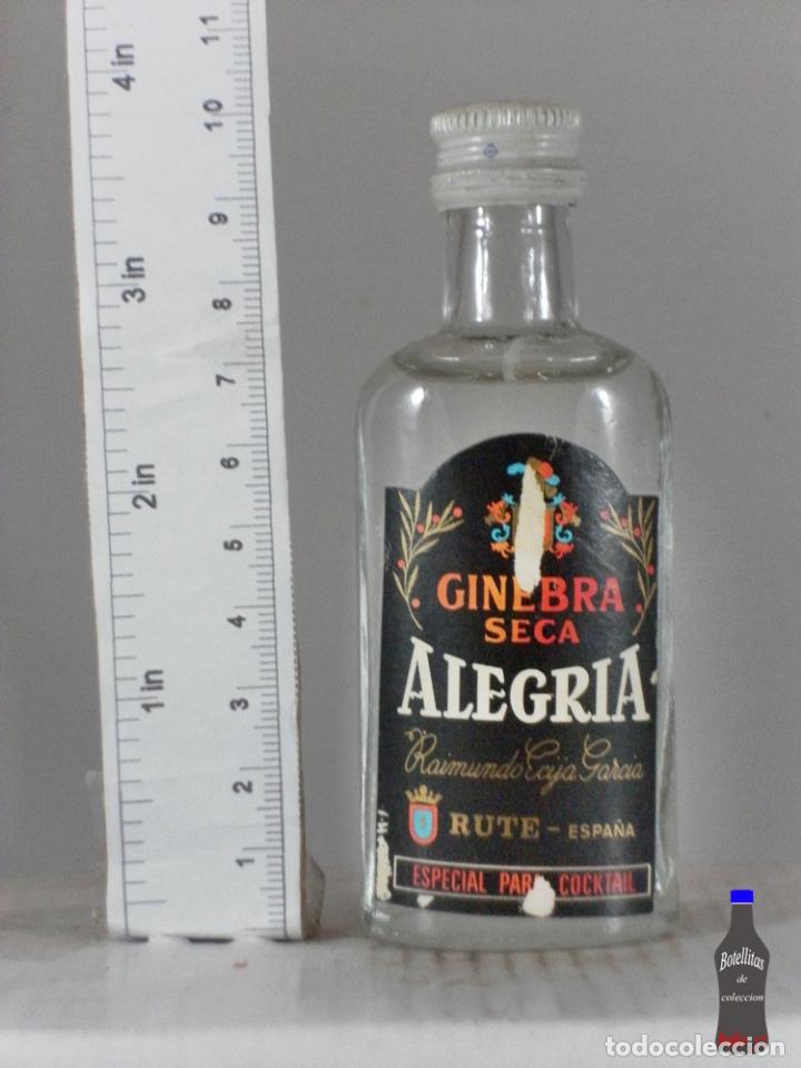 Coleccionismo de vinos y licores: BOTELLITA BOTELLIN GINEBRA SECA ALEGRIA RAIMUNDO ECIJA GARCIA RUTE ESPA&Ntilde;A