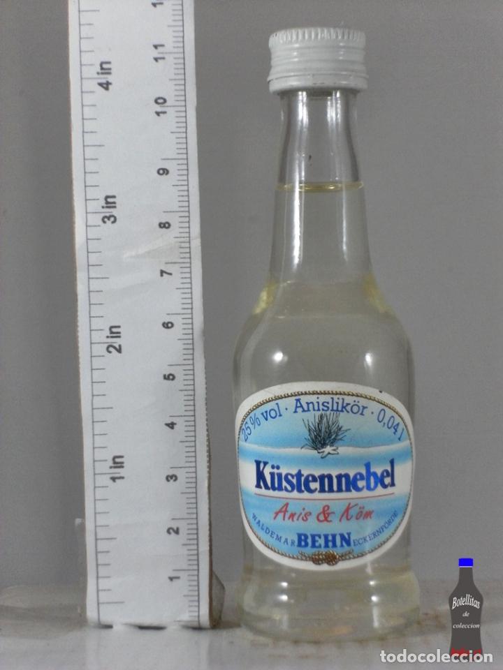 Sammlung von Weinen und Lik&ouml;ren: BOTELLITA BOTELLIN ANIS BEHN