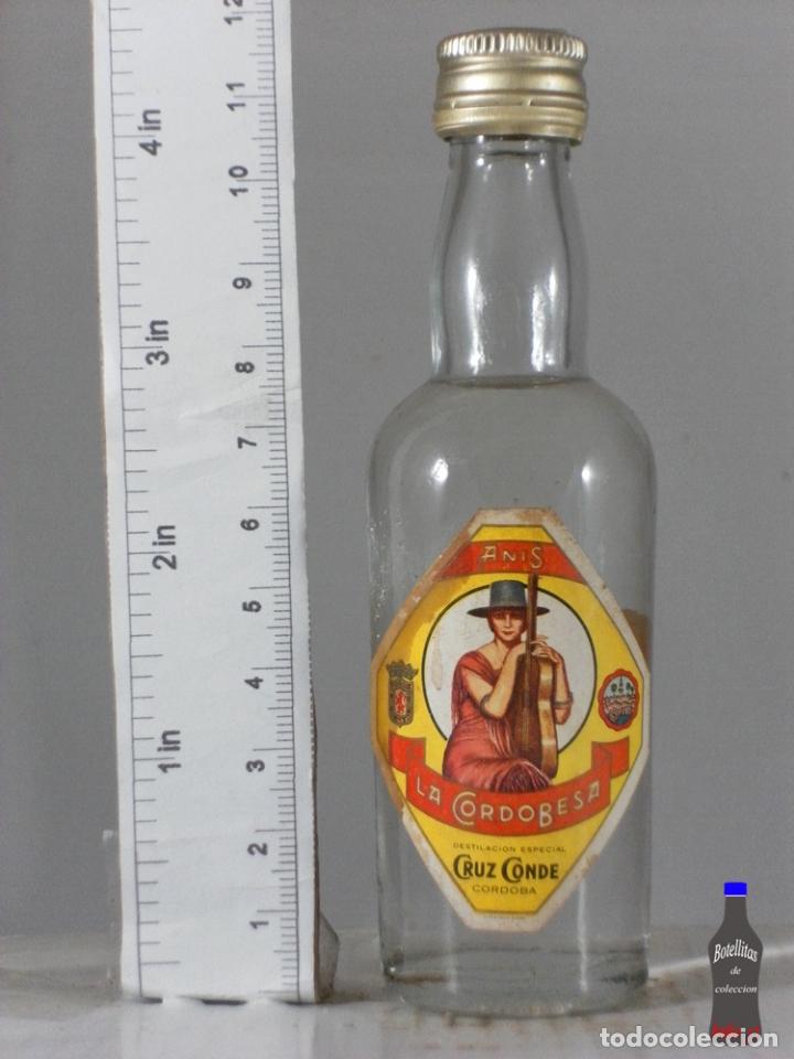 Sammlung von Weinen und Lik&ouml;ren: BOTELLITA BOTELLIN ANIS LA CORDOBESA CRUZ CONDE CORDOBA