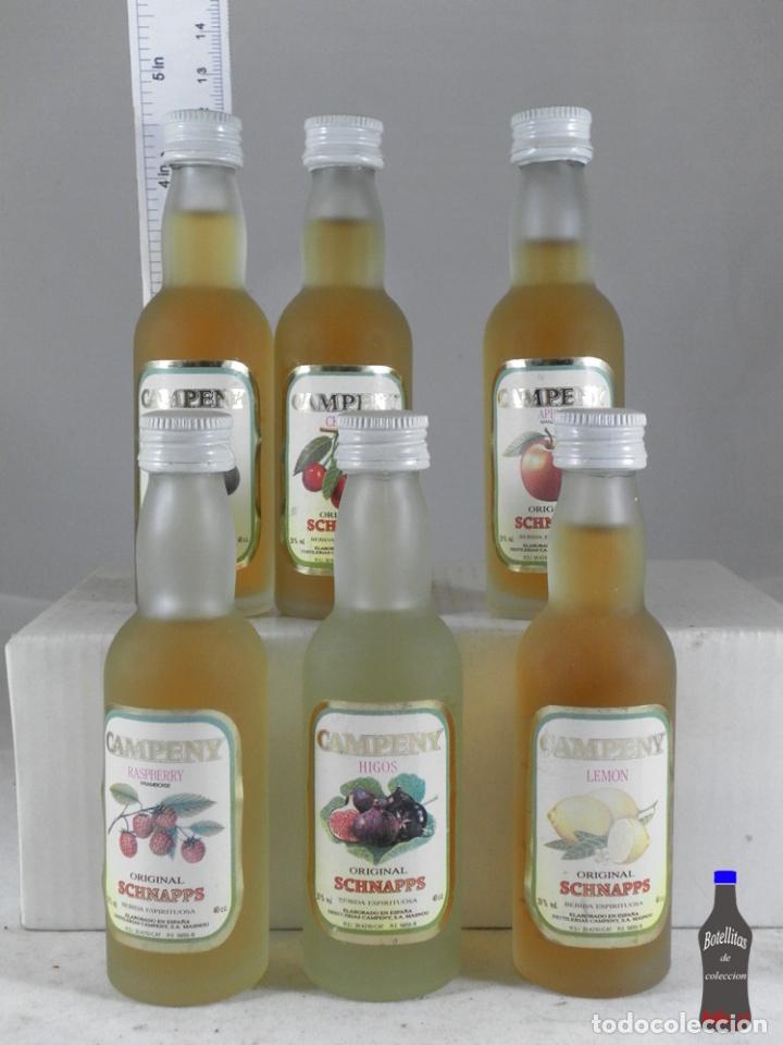 Sammlung von Weinen und Lik&ouml;ren: BOTELLITA BOTELLIN LOTE DE 6 MINIS DESTILERIAS CAMPENY
