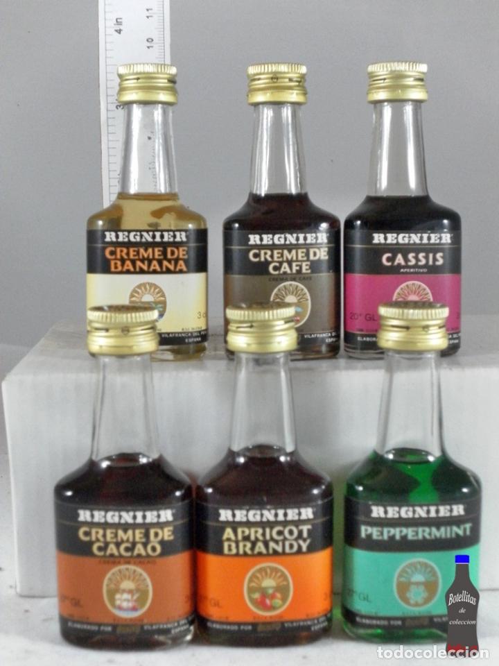 Sammlung von Weinen und Lik&ouml;ren: BOTELLITA BOTELLIN LOTE DE 6 MINIS REGNIER COINTREAU VILLAFRANCA DEL PENEDES