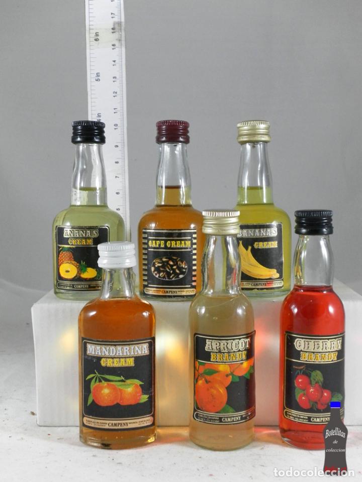 Sammlung von Weinen und Lik&ouml;ren: BOTELLITA BOTELLIN LOTE DE 6 MINIS DESTILERIAS CAMPENY