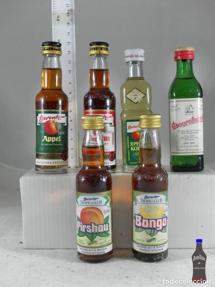 Sammlung von Weinen und Lik&ouml;ren: BOTELLITA BOTELLIN LOTE DE 6 MINIS BERENTZEN