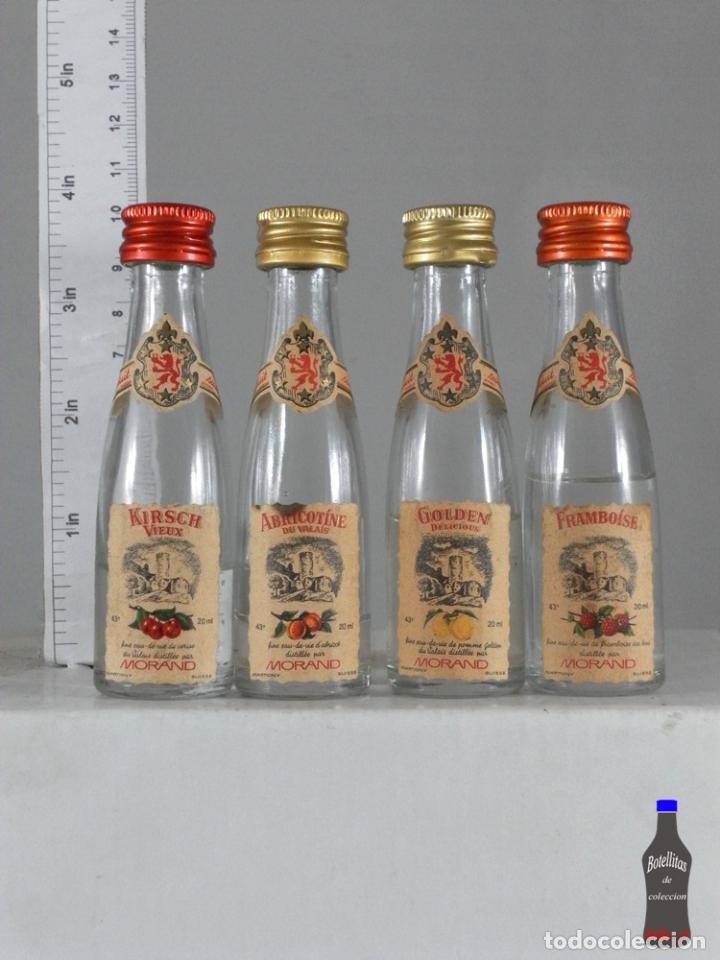 Sammlung von Weinen und Lik&ouml;ren: BOTELLITA BOTELLIN 4 MINIS MORAND MARTIGNY