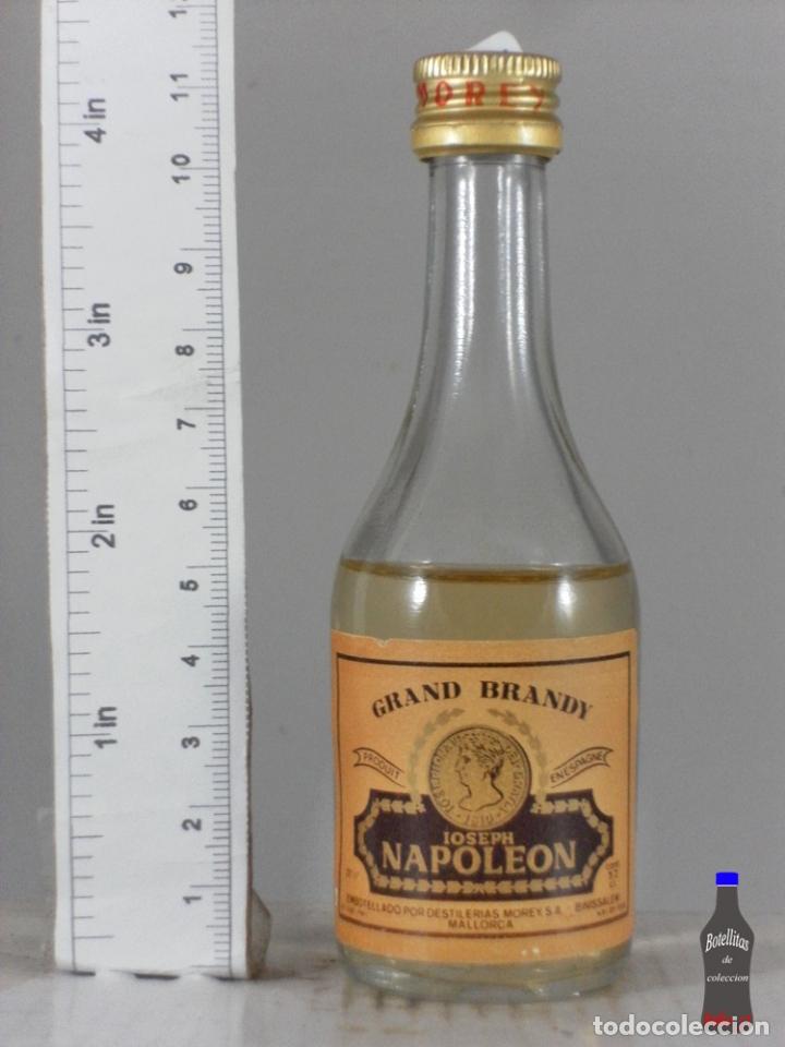 Coleccionismo de vinos y licores: BOTELLITA BOTELLIN GRAN BRANDY JOSEPH NAPOLEON DESTILERIAS MOREY MALLORCA