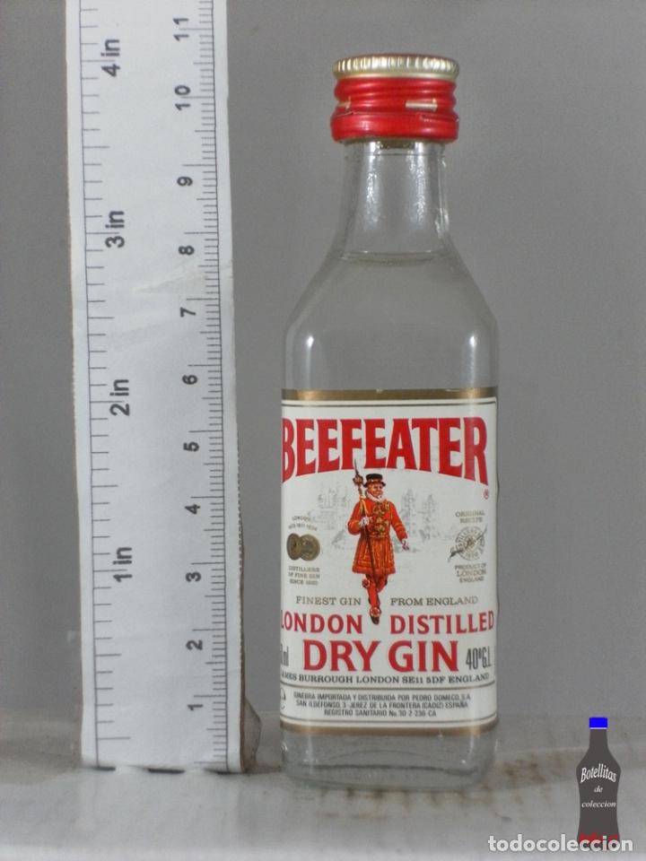 Collection of wines and liquors: BOTELLITA BOTELLIN BEEFEATER LONDON DRY GIN JEREZ DE LA FRONTERA