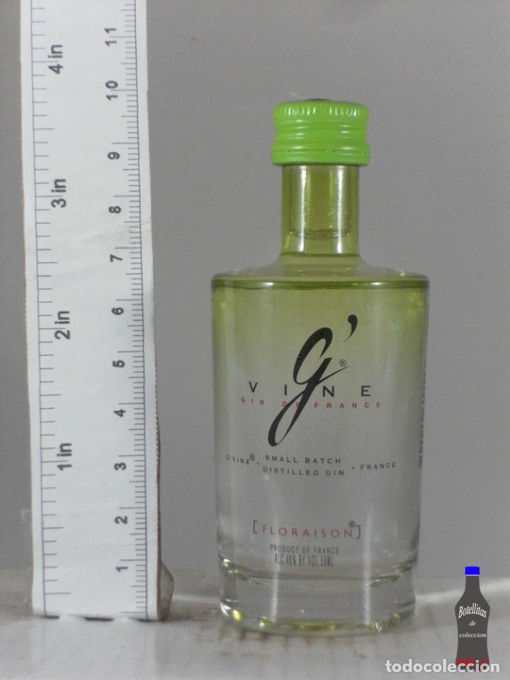 Sammlung von Weinen und Lik&ouml;ren: BOTELLITA BOTELLIN G VINE DESTILLED GIN FLORAISON EUROWINEGATE FRANCE