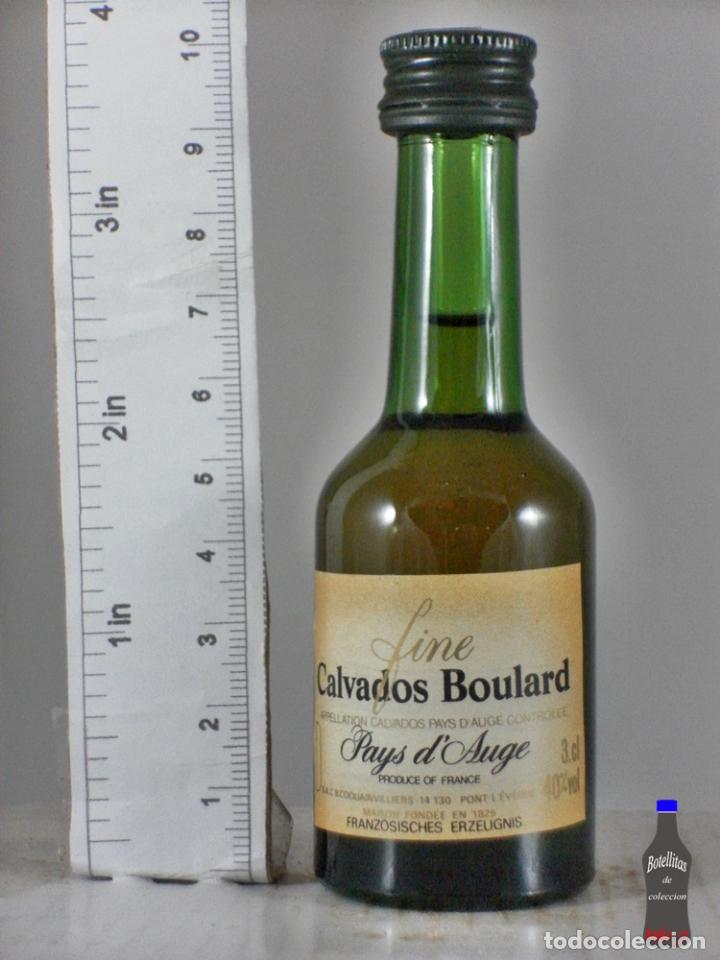 Collection of wines and liquors: BOTELLITA BOTELLIN FINE CALVADOS BOULARD PAYS DE AUGE ALEMANIA FRANCESA