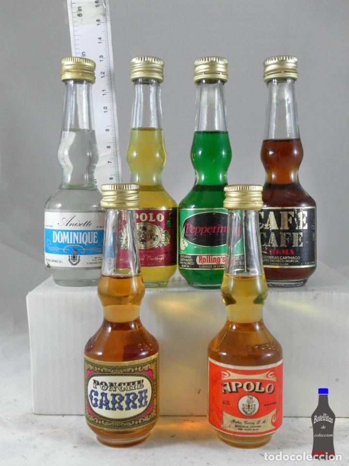 Sammlung von Weinen und Lik&ouml;ren: BOTELLITA BOTELLIN 6 MINIS DESTILERIAS CARTHAGO PEDRO GARRE