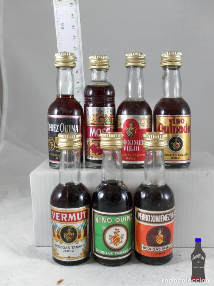 Sammlung von Weinen und Lik&ouml;ren: BOTELLITA BOTELLIN LOTE 7 MINIS BODEGAS TAMAYO JEREZ VINO VERMUT QUINADO