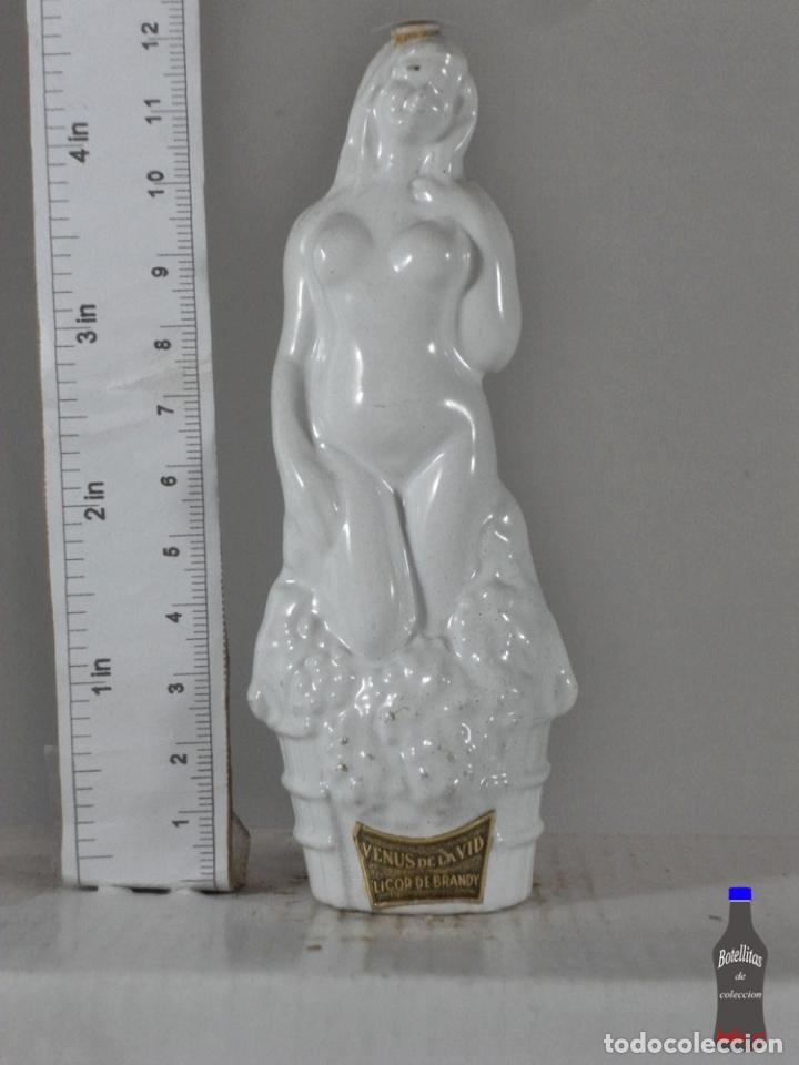 Coleccionismo de vinos y licores: BOTELLITA BOTELLIN VENUS DE LA VID LICOR DE BRANDY CAMPENY