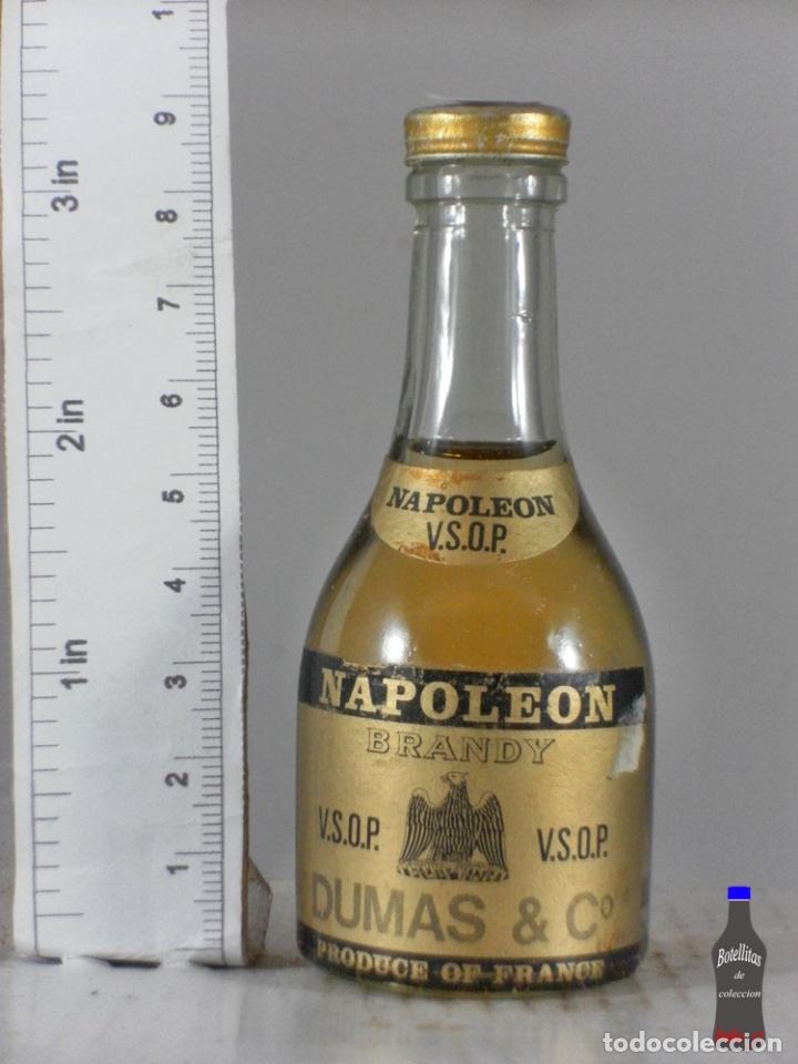 Coleccionismo de vinos y licores: BOTELLITA BOTELLIN NAPOLEON BRANDY DUMAS & CO VSOP FRANCE