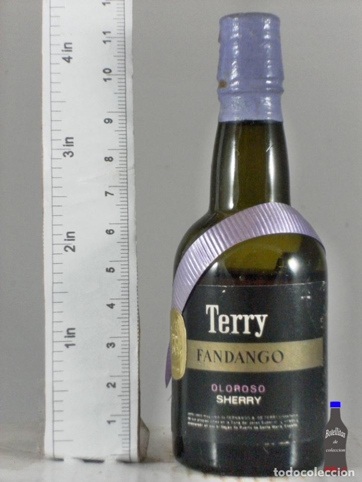 Sammlung von Weinen und Lik&ouml;ren: BOTELLITA BOTELLIN TERRY FANDANGO OLOROSO SHERRY FERNANDO A. DE TERRY PUERTO DE SANTA MARIA
