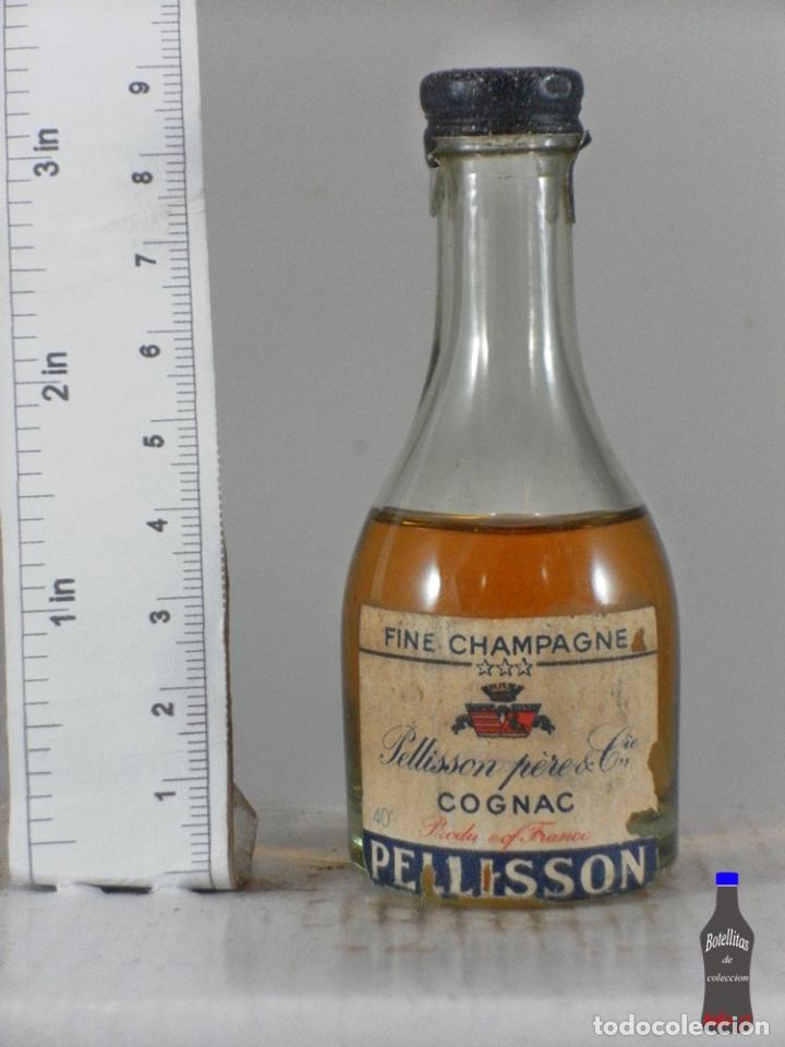 Sammlung von Weinen und Lik&ouml;ren: BOTELLITA BOTELLIN PELLISSON PERE COGNAC FINE CHAMPAGNE FRANCE
