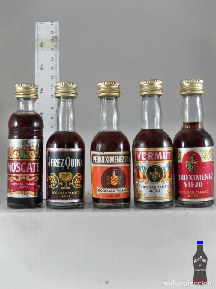 Sammlung von Weinen und Lik&ouml;ren: BOTELLITA BOTELLIN LOTE DE 5 VINOS VERMUTS BODEGAS TAMAYO