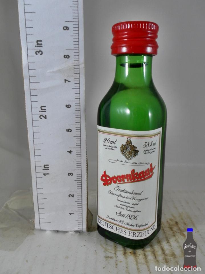Collection of wines and liquors: BOTELLITA BOTELLIN DOORNKAAT ALEMANIA