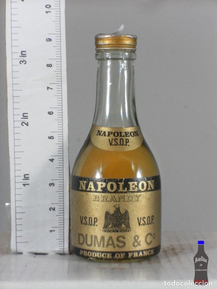 Coleccionismo de vinos y licores: BOTELLITA BOTELLIN NAPOLEON BRANDY DUMAS & CO VSOP FRANCE