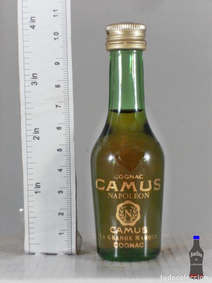 Coleccionismo de vinos y licores: BOTELLITA BOTELLIN COGNAC CAMUS NAPOLEON CAMUS LA GRANDE MARQUE COGNAC FRANCE