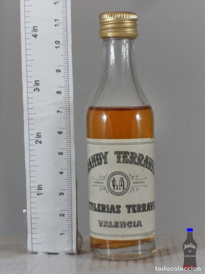 Coleccionismo de vinos y licores: BOTELLITA BOTELLIN BRANDY TERRAVIL VALENCIA