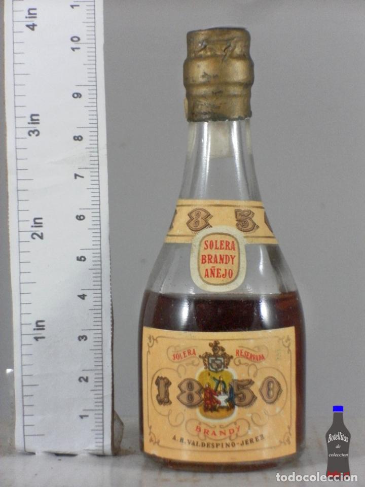 Coleccionismo de vinos y licores: BOTELLITA BOTELLIN SOLERA BRANDY VIEJA 1850 BRANDY VALDESPINO JEREZ