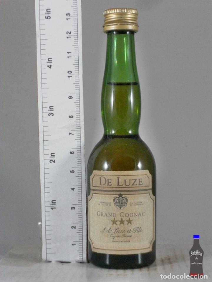 Coleccionismo de vinos y licores: BOTELLITA BOTELLIN BRANDY DE LUZE *** LUZE FILS FRANCE