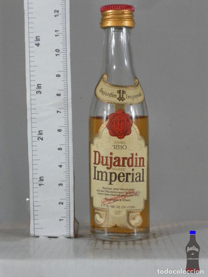 Coleccionismo de vinos y licores: BOTELLITA BOTELLIN DUJARDIN IMPERIAL BRANDY 1810 ALEMANIA