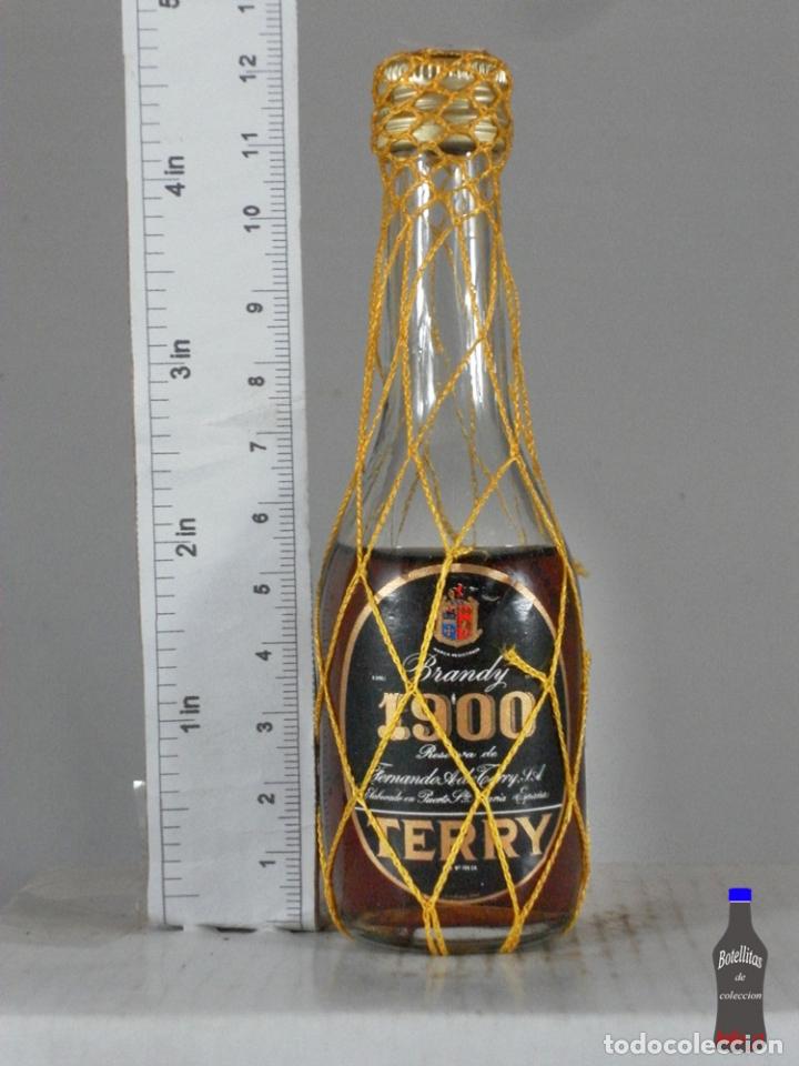 Coleccionismo de vinos y licores: BOTELLITA BOTELLIN BRANDY 1900 FERNANDO A. DE TERRY PUERTO DE SANTA MARIA