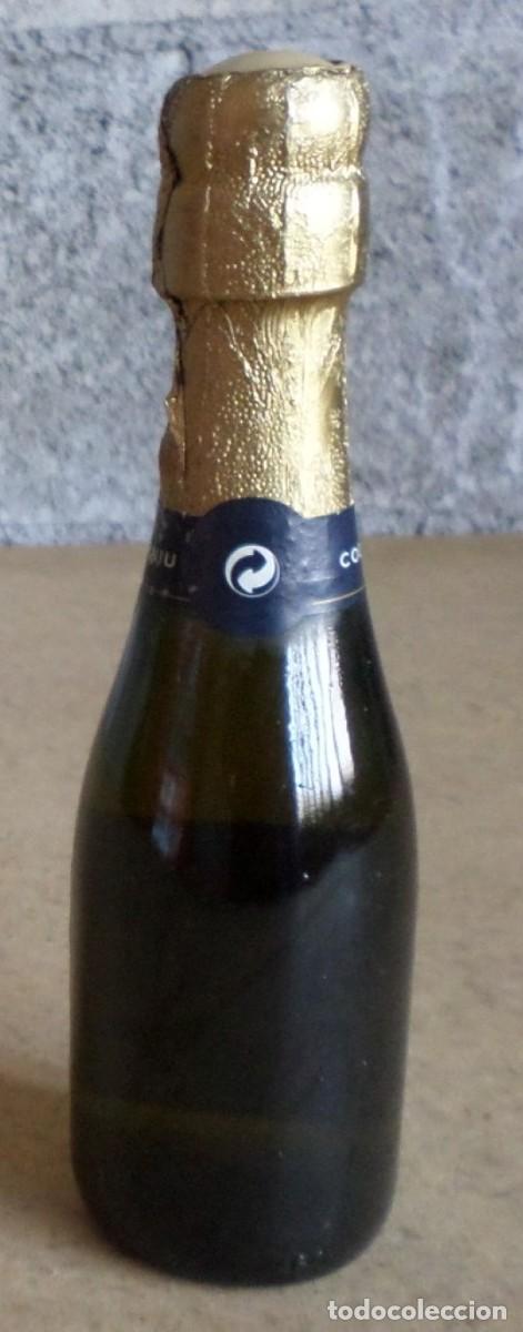 Coleccionismo de vinos y licores: Botella CODORNIU 1551 - 20 cl. - Foto 4