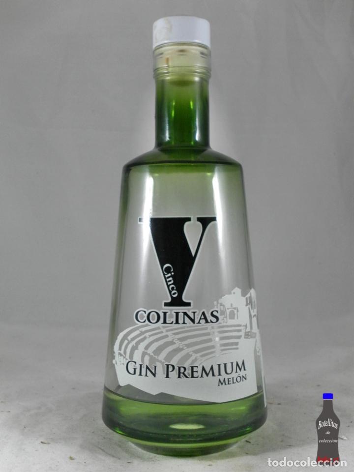 Collection of wines and liquors: BOTELLA V CINCO COLINAS GIN PREMIUM MELON CARTAGENA