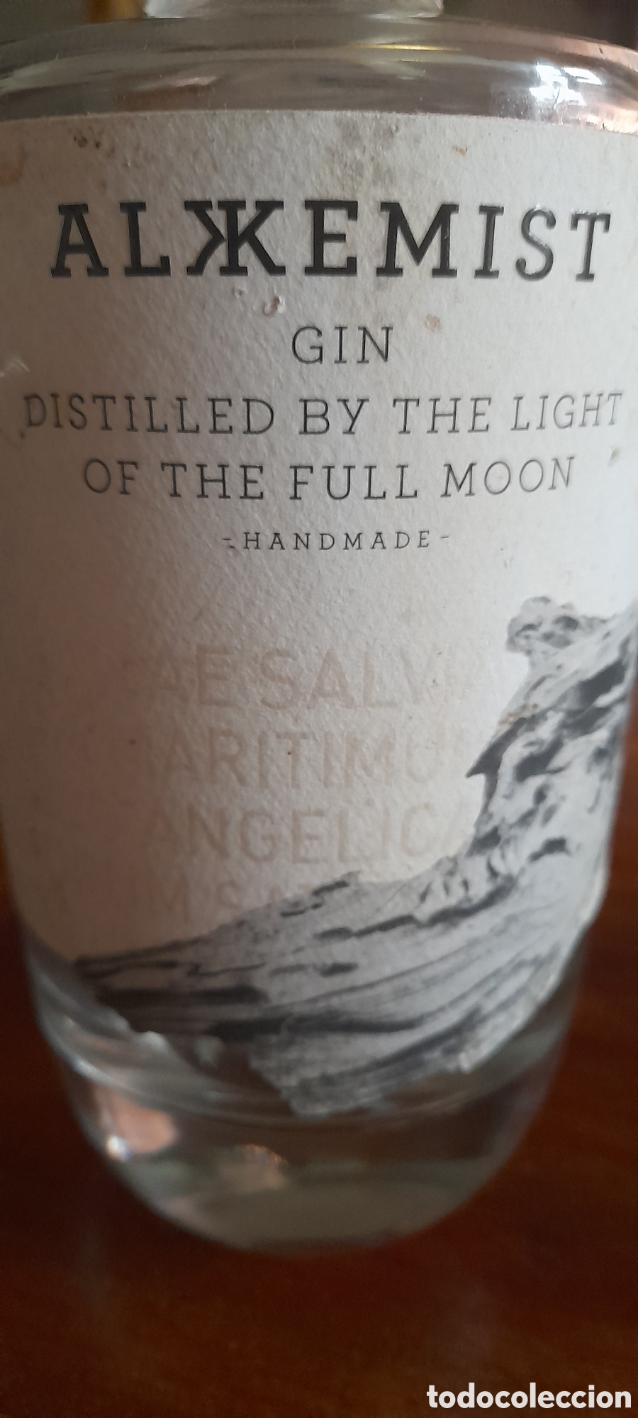 Coleccionismo de vinos y licores: Botella GIN - Foto 5