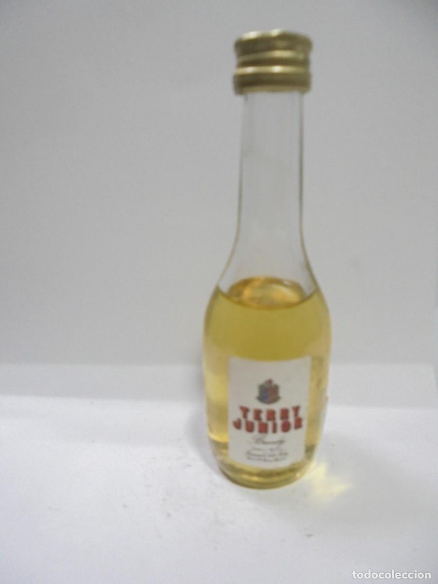 Sammlung von Weinen und Lik&ouml;ren: BOTELLIN DE BRANDY TERRY JUNIOR. PEDRO A. DE TERRY. PUERTO DE SANTA MARIA. CERRADA. VER FOTOS.
