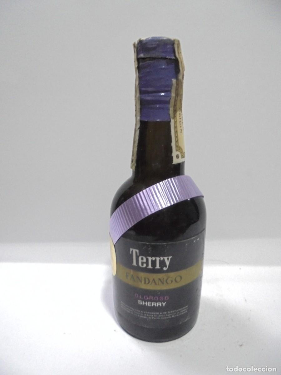 Sammlung von Weinen und Lik&ouml;ren: BOTELLIN DE OLOROSO SHERRY JEREZ SECO. TERRY FANDANGO. CERRADA. VER FOTOS.
