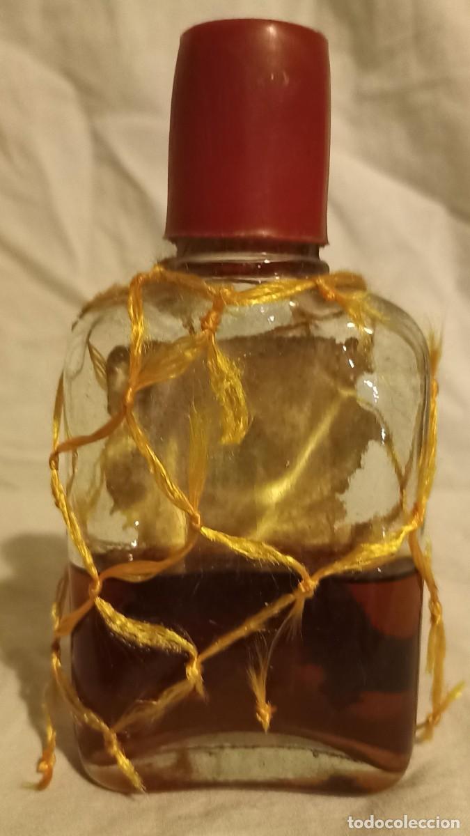 Coleccionismo de vinos y licores: Brandy Centenario Terry - Foto 4