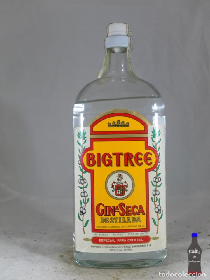 Collezionismo di vini e liquori: BOTELLA BIGTREE GIN SECA DESTILADA PEREZ BARQUERO MONTILLA ESPA&Ntilde;A