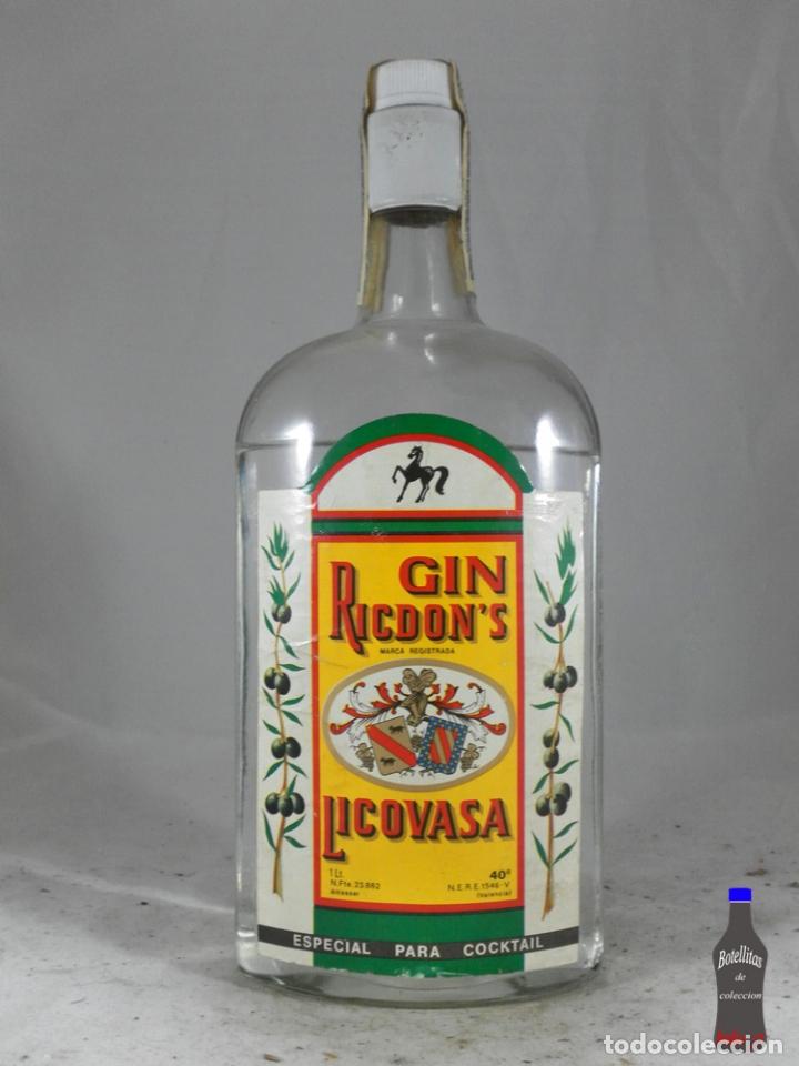 Sammlung von Weinen und Lik&ouml;ren: BOTELLA GIN RICDON&acute;S LICOVDA ALCASSER VALENCIA