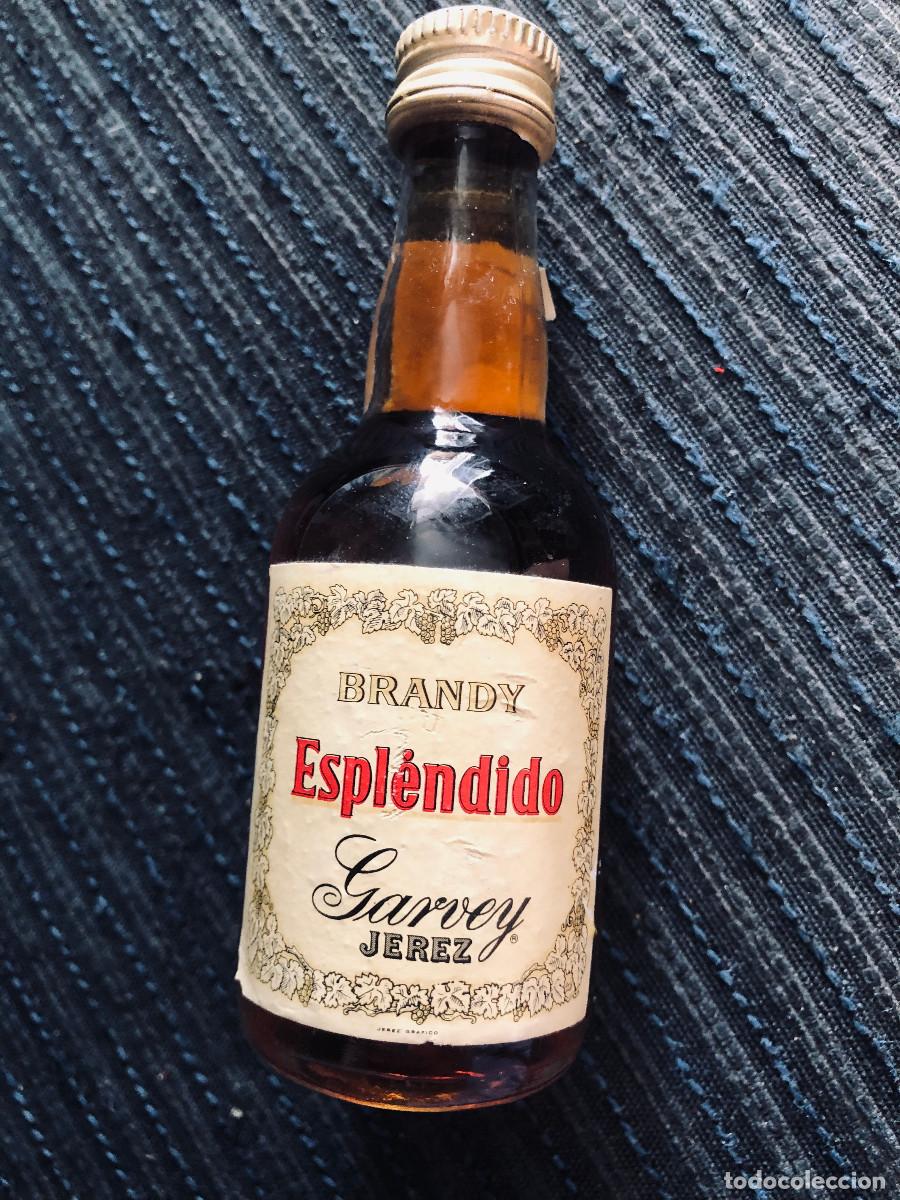 Coleccionismo de vinos y licores: Botellita o botell&iacute;n de brandy Espl&eacute;ndido. Garvey. Jerez. A&ntilde;os 80. Cerrada.