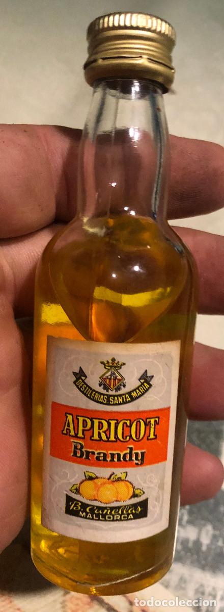 Coleccionismo de vinos y licores: Botellita o botell&iacute;n de apricot brandy Ca&ntilde;ellas. Mallorca. A&ntilde;os 70. Cerrada.