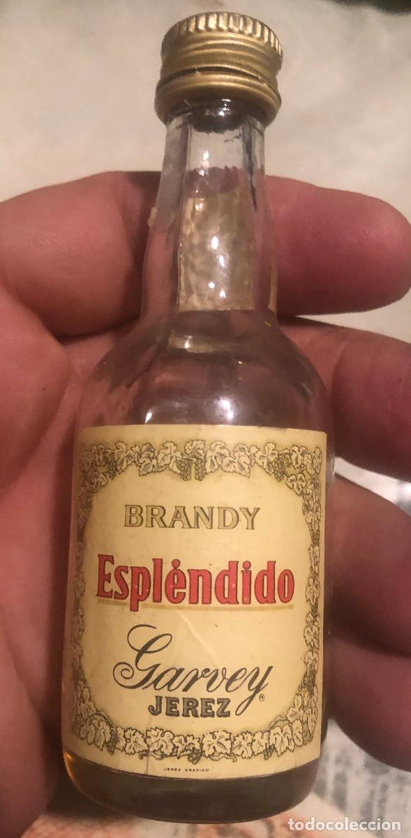 Coleccionismo de vinos y licores: Botellita o botell&iacute;n de brandy Espl&eacute;ndido. Garvey. Jerez de la Frontera. A&ntilde;os 70. Cerrada.
