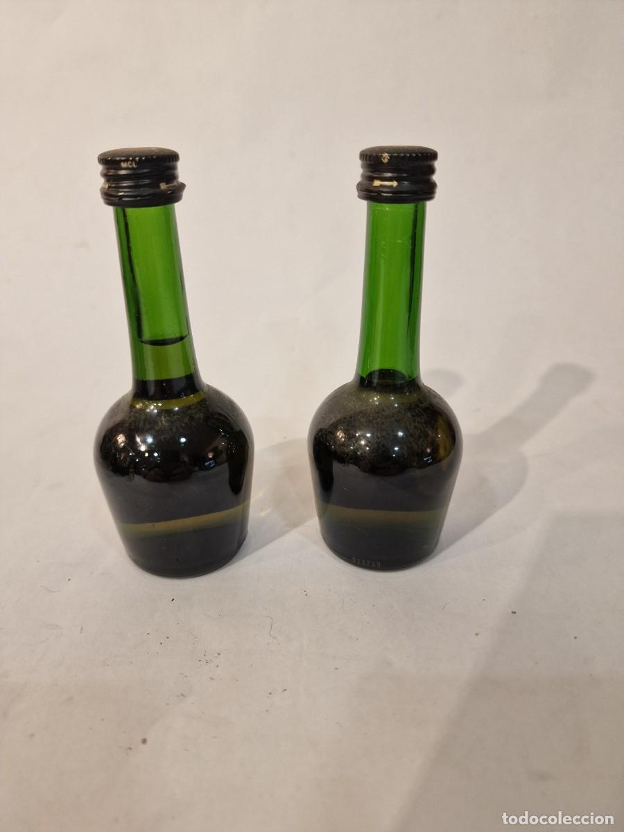 Coleccionismo de vinos y licores: Botellitas de Co&ntilde;ac franc&eacute;s - Foto 3
