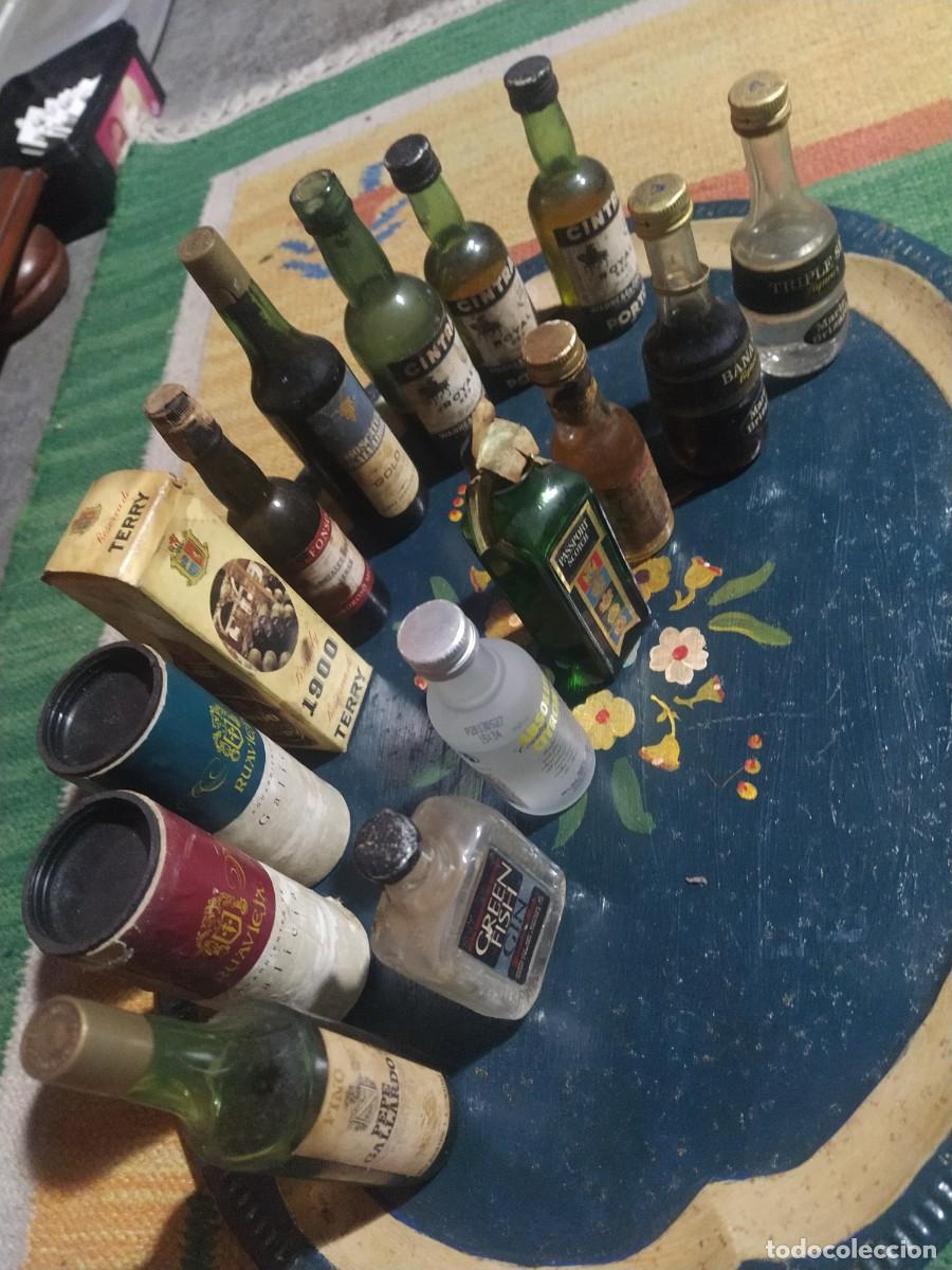 Coleccionismo de vinos y licores: Vinos y licores en miniatura, colecci&oacute;n 16 botellas / botell&iacute;n. 30 fotos al detalle.