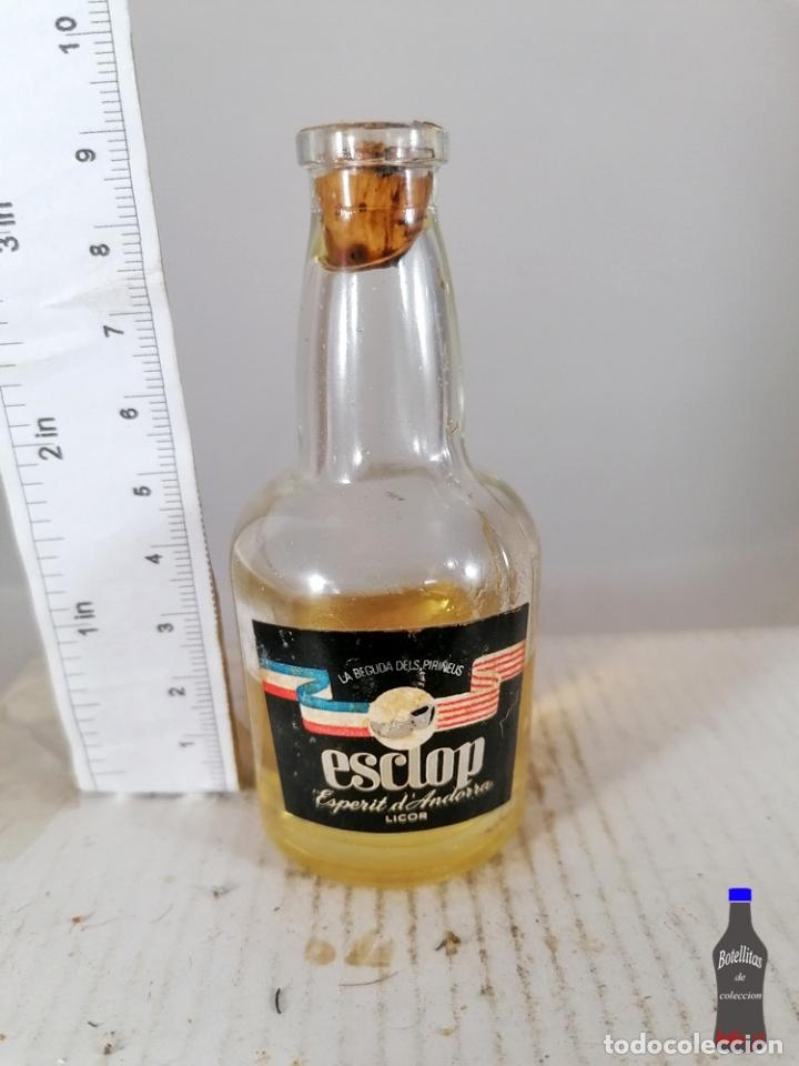 Coleccionismo de vinos y licores: BOTELLITA BOTELLIN ESCLOP LICOR PIRINEOS ANDORRA