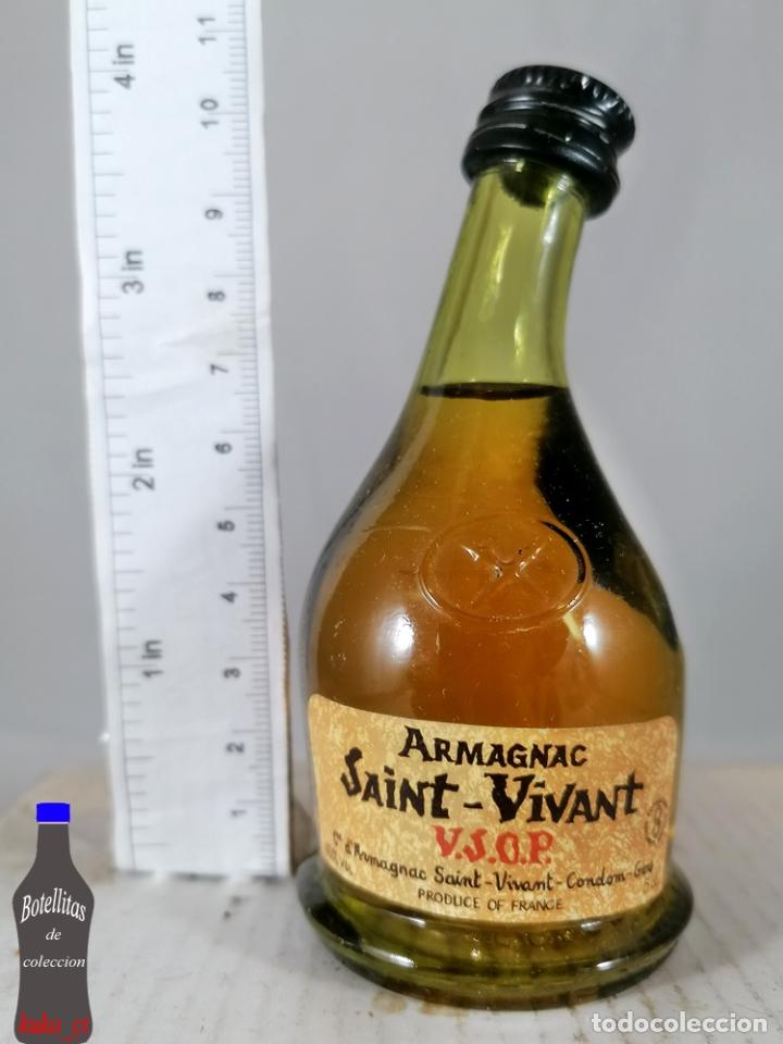 Sammlung von Weinen und Lik&ouml;ren: BOTELLITA BOTELLIN ARMAGNAC SAINT - VIVANT VSOP CONDOM GERS FRANCE