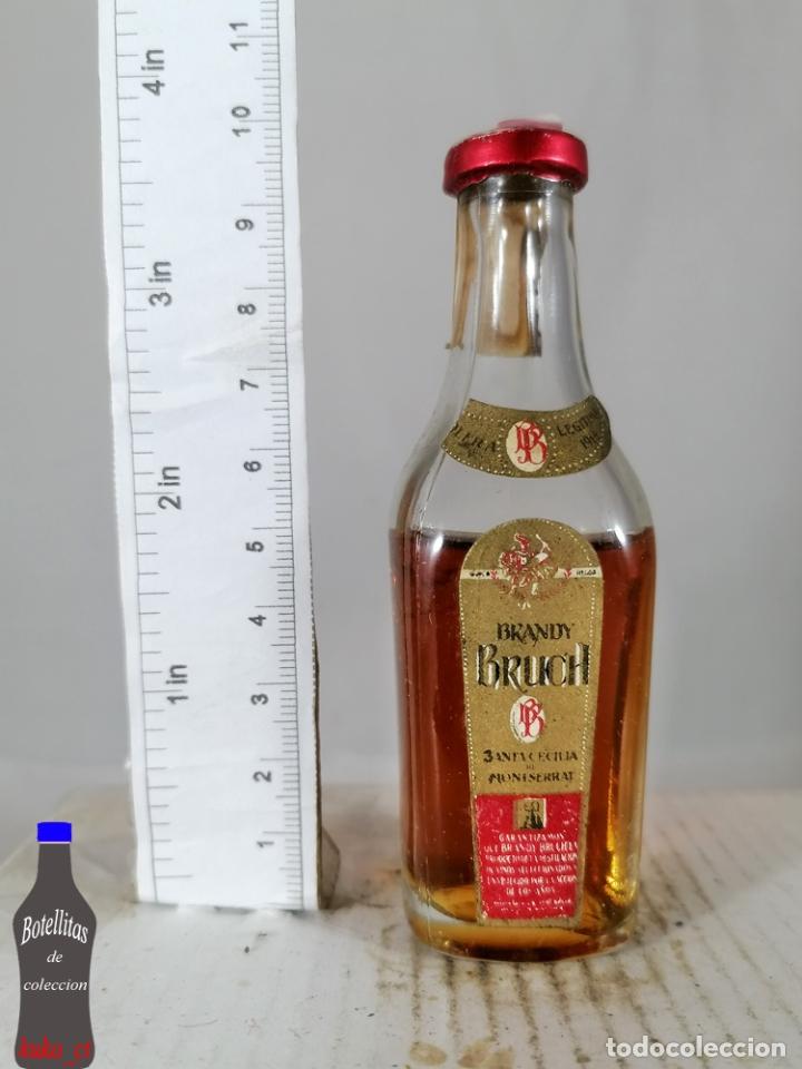 Collection of wines and liquors: BOTELLITA BOTELLIN BRANDY BRUCH SANTA CECILIA DE MONTSERRAT