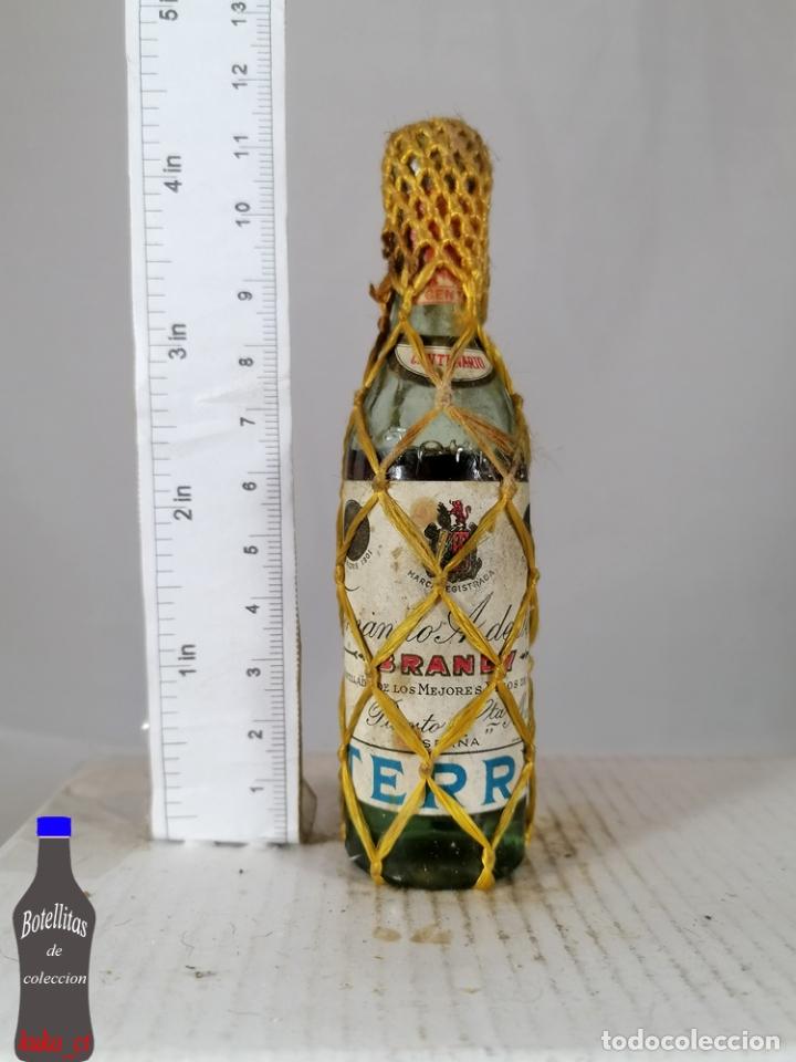 Coleccionismo de vinos y licores: BOTELLITA BOTELLIN BRANDY CENTENARIO FERNANDO A DE TERRY PUERTO DE SANTA MARIA