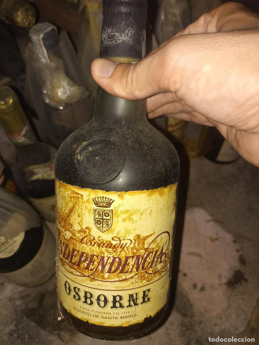 Coleccionismo de vinos y licores: Brandy Independencia sin abrir - Foto 1