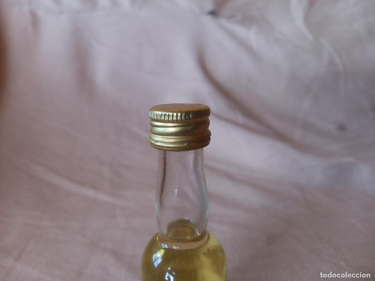 Coleccionismo de vinos y licores: Botella de chartreuse Francia - Foto 4