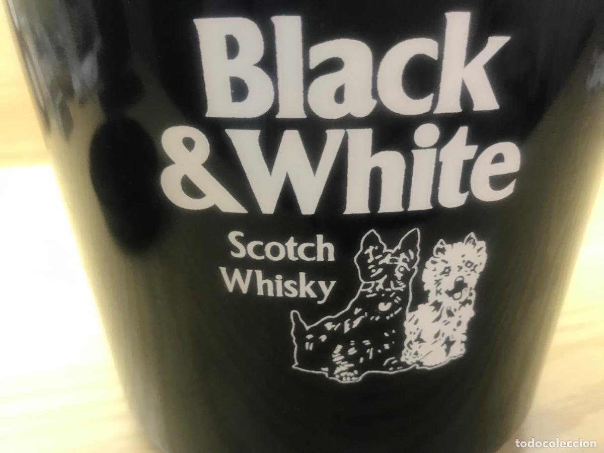 Coleccionismo de vinos y licores: Cubitera whisky Black & White